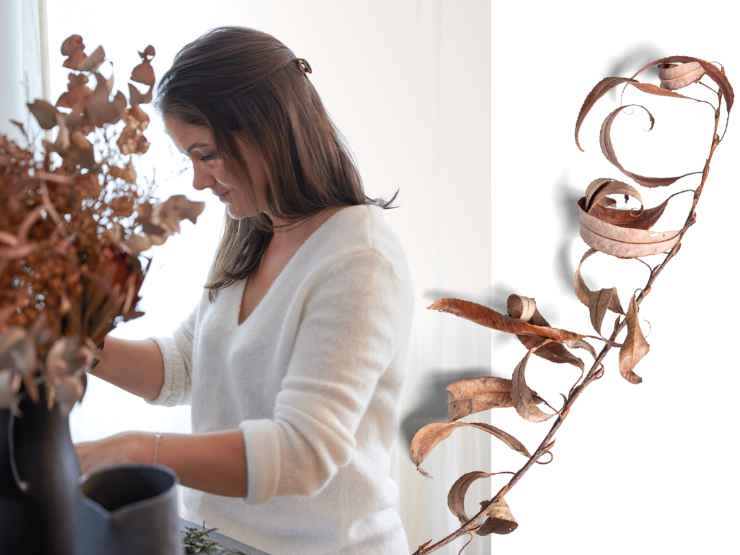 Ocean to Stable - finding the flow of interior design