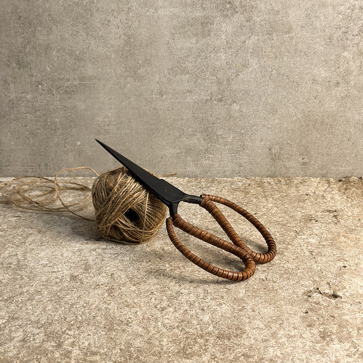 Stable Scissors